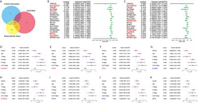 Low Expression Levels of SLC22A12 Indicates a Poor Prognosis and Progresses Clear Cell Renal Cell Carcinoma